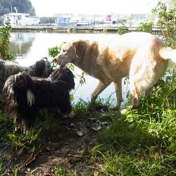 Wilma, Emilie, Adele