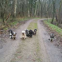 Elise, Ida, Livvy, Trudi, Adele, Wilma, Angelo