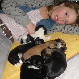 Welpe, Agathe von Wilmas Wunder, August von Wilmas Wunder, Alvin von Wilmas Wunder, Anton von Wilmas Wunder, Alma Adele von Wilmas Wunder