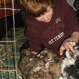 Welpe, Carlos, Arthur ANTON, Anton