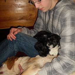 Welpe, Smilla, Adele, Valentin