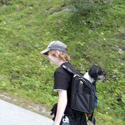 2011-07-27_1108520006.JPG