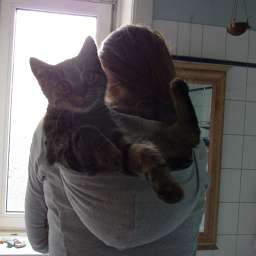 Minusch