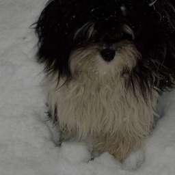 Smilla