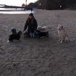 Wilma, Sabine, Emilie, Ella, Carlos, Keks, Adele, Anton