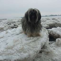 Wilma