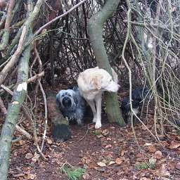 Wilma, Emilie, Adele