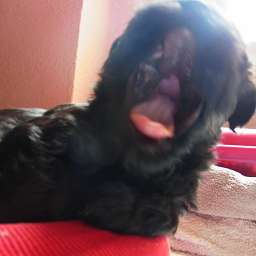 B-Wurf, Billy-Brösel