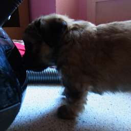 B-Wurf, Berti-Brezel