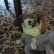 2012-05-16_2254590004.png
