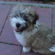 2012-05-25_1158280003.png