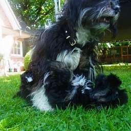 2012-05-27_1414260001.JPG