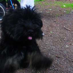 2012-06-19_0905250003.JPG