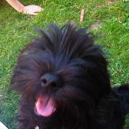 2012-06-21_1552000001.JPG