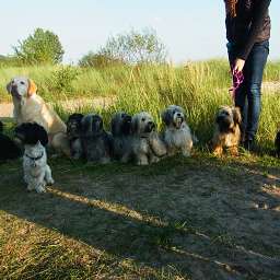 Wilma, Emilie, Ella, Keks, Adele, Balu-Blue, Bella, Berti-Brezel, Bruno, Benjamin-Bonsai