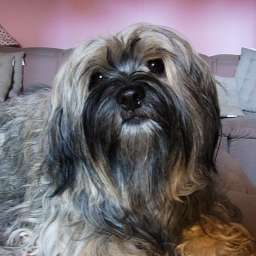Wilma