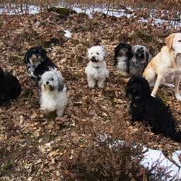 Wilma, Emilie, Carlos, Adele, Balu-Blue, Berti-Brezel, Bruno, Benjamin-Bonsai