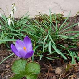 2013-04-07_1429320001.JPG