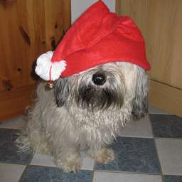 Berti-Brezel