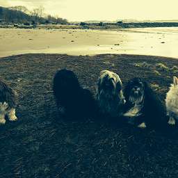 Wilma, Adele, Bruno, Mr. Weasley, Oscar