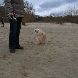 Artos of Nordic Nature