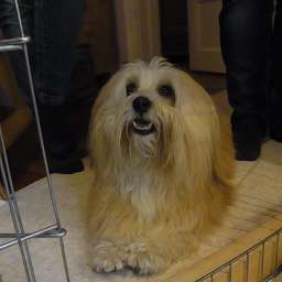 Artos of Nordic Nature, C-Wurf