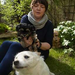 Mr. Weasley, C-Wurf, Clara