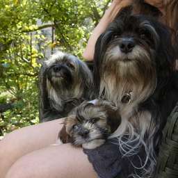 Wilma, Adele, Cäthe