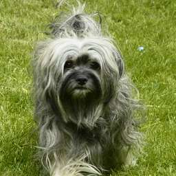 Wilma