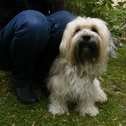 B-Wurf, Berti-Brezel