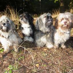 Wilma, Adele, Oscar, Caruso