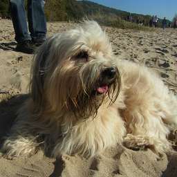 Berti-Brezel