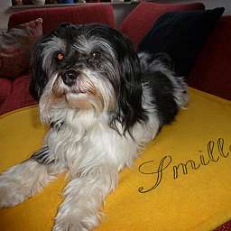 Smilla
