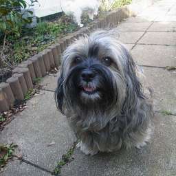 Wilma