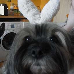 Wilma