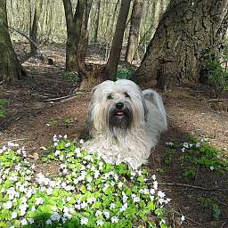 Berti-Brezel