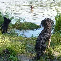 Ida, Livvy