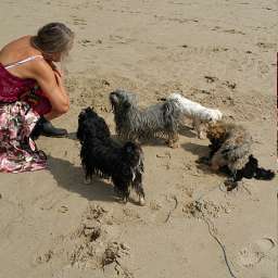 Wilma, Adele, Ida, Elli, Livvy, Elise