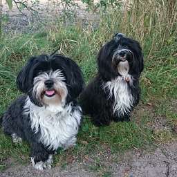 Mia und Lulu