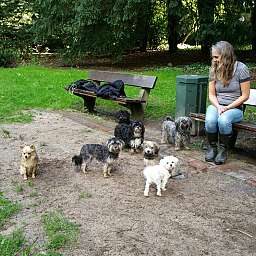 Wilma, Adele, Ida, Elli, Yoshi, Livvy, Elise