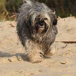 Wilma