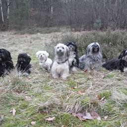 Wilma, Adele, Elli, Barny, Dorle, Debbie, Elise