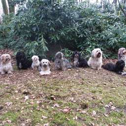 Wilma, Adele, Berti-Brezel, Bruno, Oscar, Cäthe, Elli, Debbie, Elise