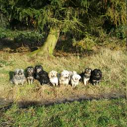 Wilma, Adele, Ida, Elli, Dorle, Debbie, Livvy, Elise, Linus