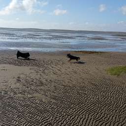 Livvy & Ida