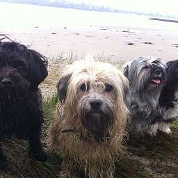 Elise, Adele, Wilma
