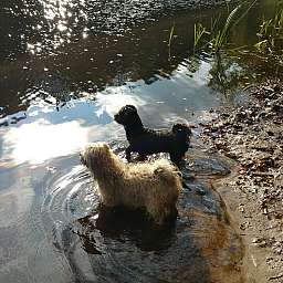 Elise, Livvy