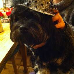 Livvy