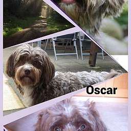 Oscar