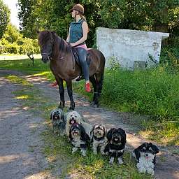 Elise, Ida, Livvy, Trudi, Adele, Wilma